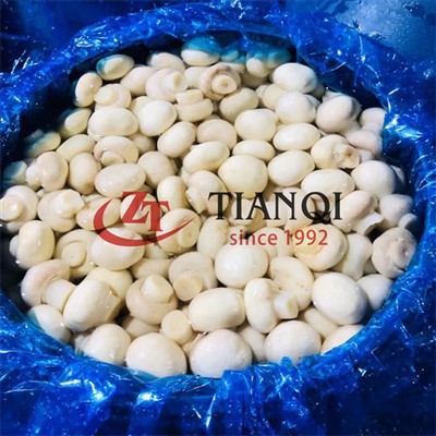 Ħall champignon faqqiegħ fit-tanbur